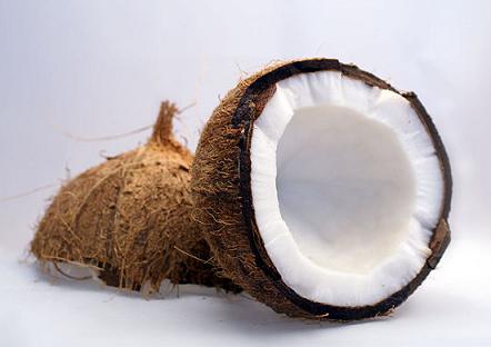 Why Coconuts Could Be The Hydrogen Storage Material Of The Future