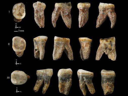 Una especie humana desconocida pudo habitar China durante el Pleistoceno