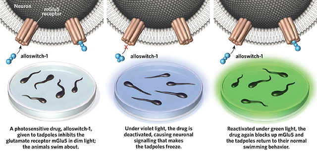 Light-Operated Drugs