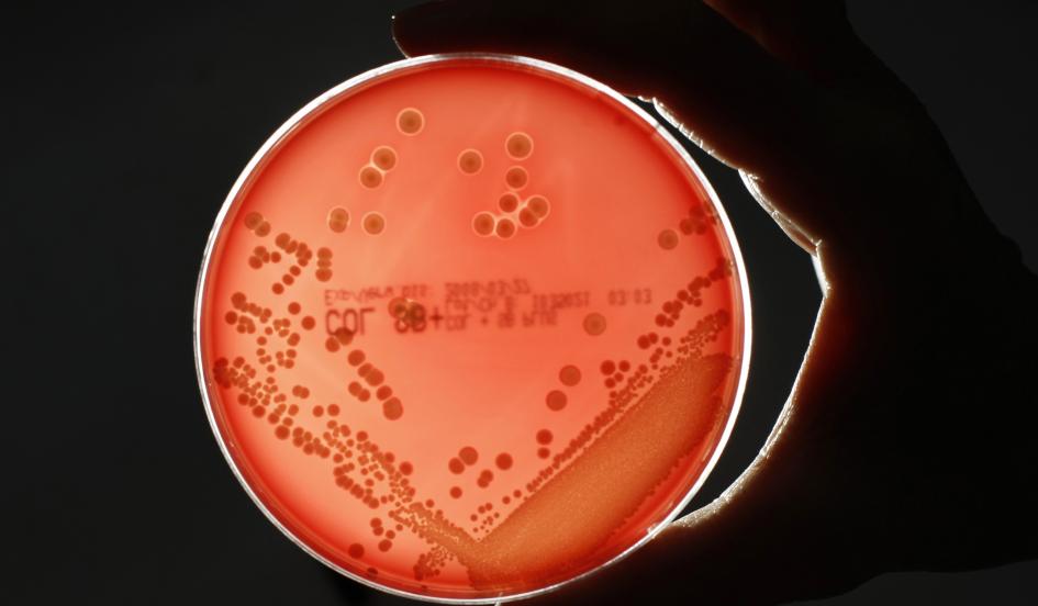 Revolutionary New Antibiotic Alternative Could Save the World From Superbug ‘Apocalypse’