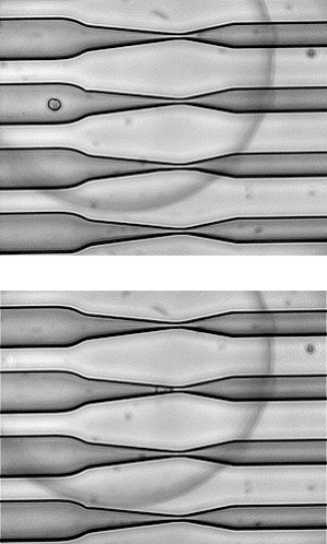 Device Squeezes Cells to Get Drugs In