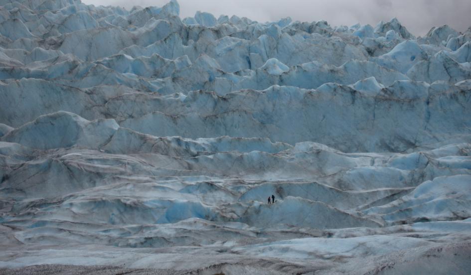 Not Just Sea Level Rise: Melting Glaciers Release Vast Amounts of Carbon, Study Finds