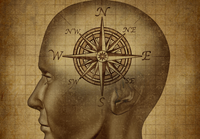 Found: the missing part of brain’s ‘internal compass’