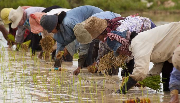 Antibiotikoekiko erresistentea den tuberkulosiaren bilakaera historikoa