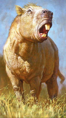 Largest known rodent wielded its enormous teeth like tusks