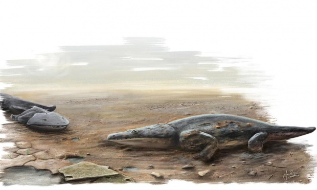 Fossil hunters discover new giant ancient predator