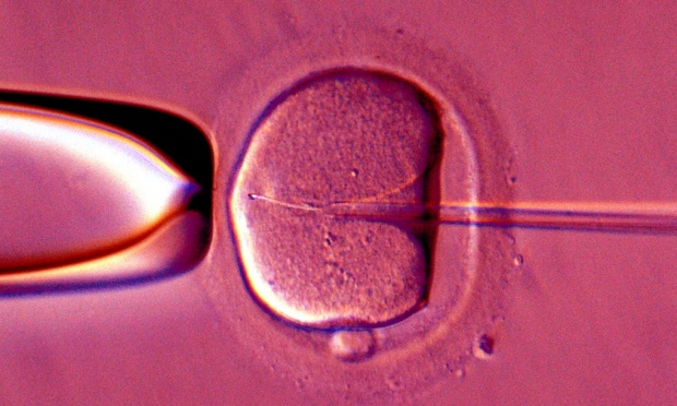 IVF test improves chances of implantation by pinpointing fertility window