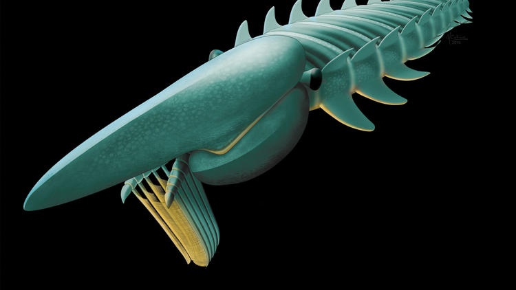 Found: A giant, ancient arthropod that grew up to 7 feet long