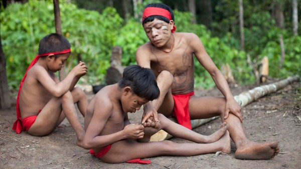 Resistance to antibiotics found in isolated Amazonian tribe