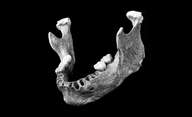 Early European may have had Neanderthal great-great-grandparent