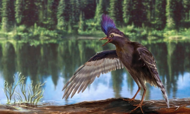 Remains of oldest known relative of modern birds discovered in China