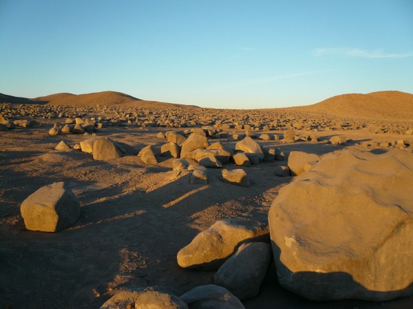 Driest Place on Earth Hosts Life