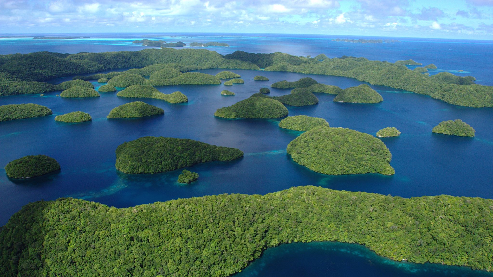 Palau’s Improbably Healthy Coral Reefs