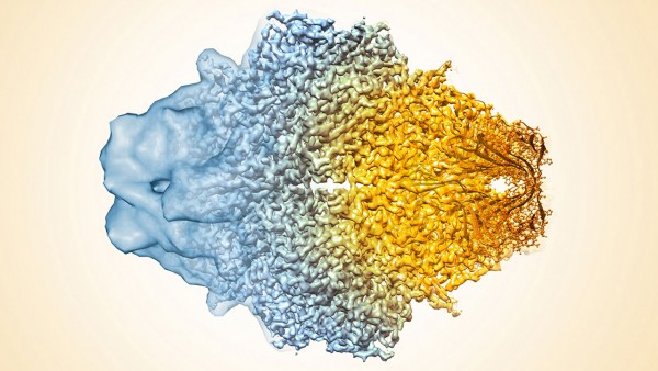 Electron microscopes close to imaging individual atoms