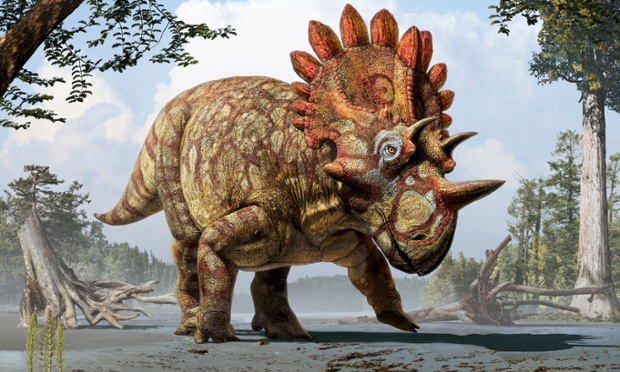 New species of dinosaur, the regaliceratops, discovered in Canada