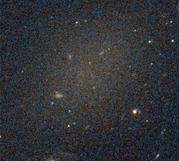 Dark Galaxies Suffuse the Coma Cluster