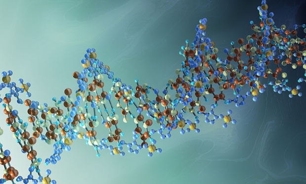 At the limit of Moore’s law: scientists develop molecule-sized transistors