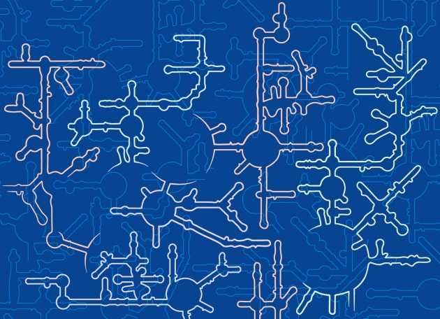 A cellular puzzle: The weird and wonderful architecture of RNA