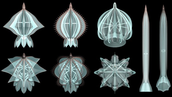 Early jellyfish-like creatures sported armor