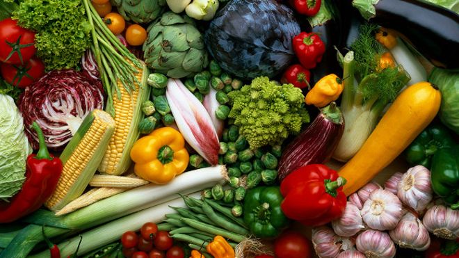 ¿Existen realmente los vegetales?