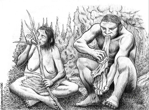 La endogamia predominaba entre los neandertales de El Sidrón