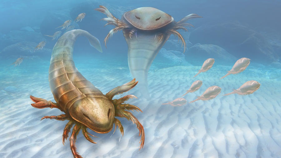 Found: A 6-foot-long ‘sea scorpion’ that lived 450 million years ago