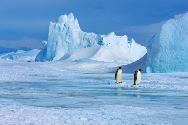 Gains in Antarctic ice might offset losses