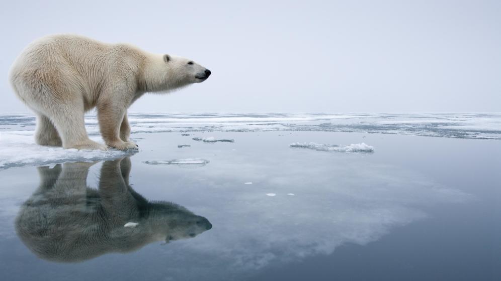 Siete argumentos que niegan el cambio climático (y sus respuestas científicas)