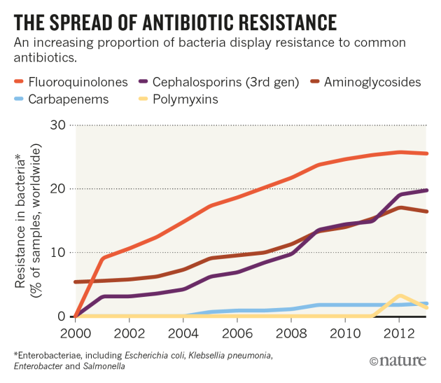 Spread of antibiotic-resistance gene does not spell bacterial apocalypse — yet