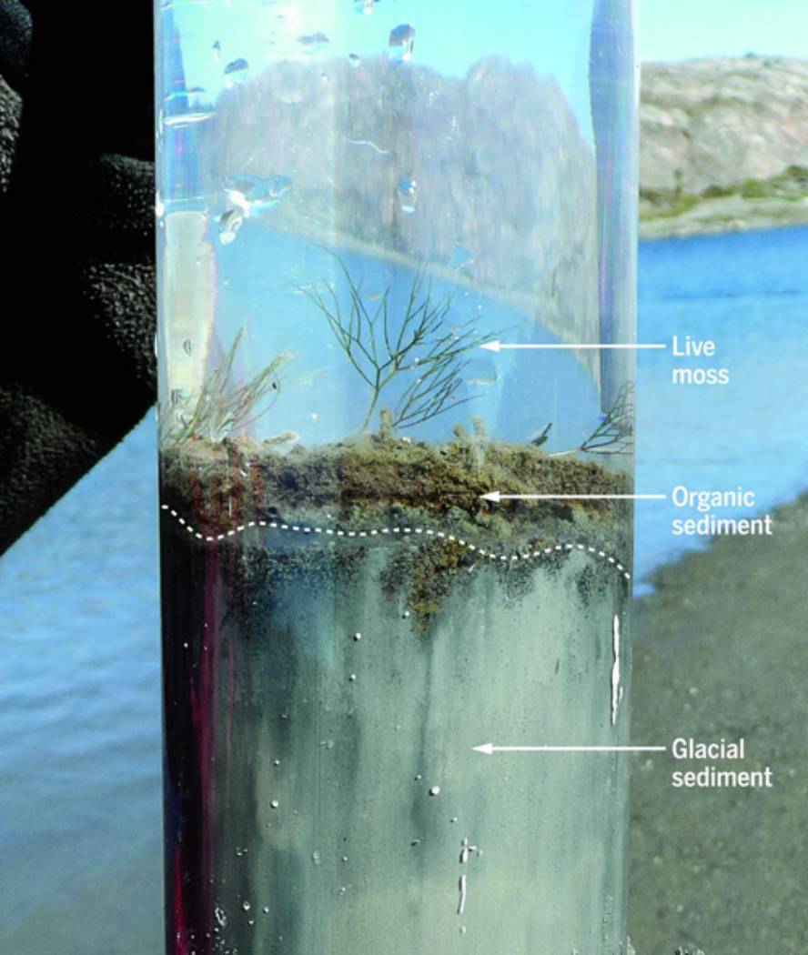 Antropozenoa garai geologiko izendatzeko ebidentziak bildu dituzte