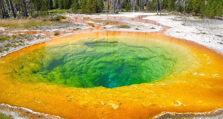 Ancient tectonic plate blocks magma plume at Yellowstone, simulation shows