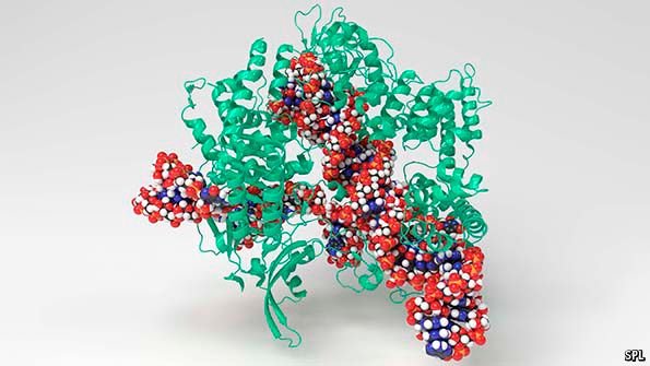 CRISPR crunch