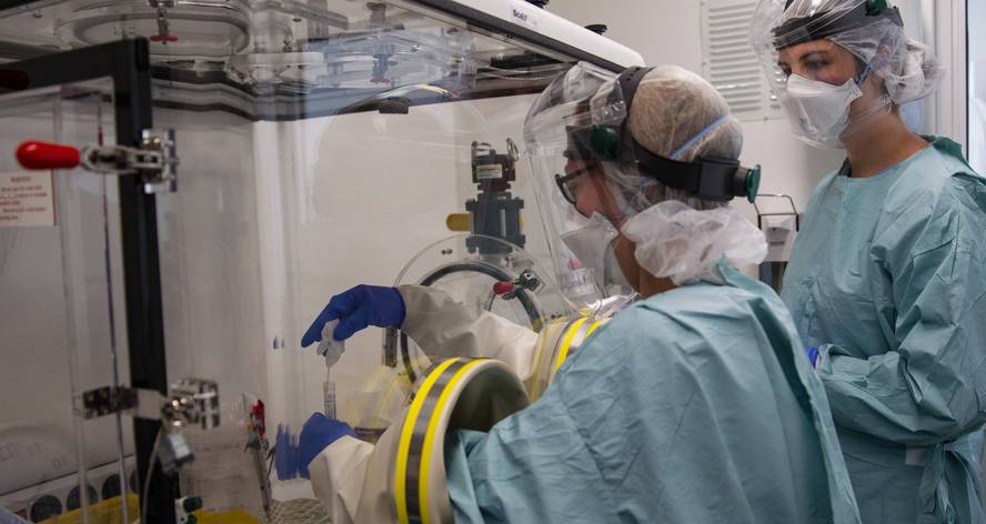 Ebolari aurre egiteko antigorputz eraginkorrak aurkitu dituzte