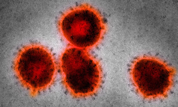 ‘Ban’ on most hazardous virus experiments could be lifted this week