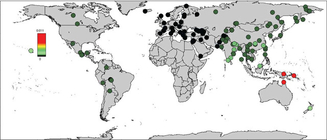 La ascendencia actual de neandertales y denisovanos en un mapamundi