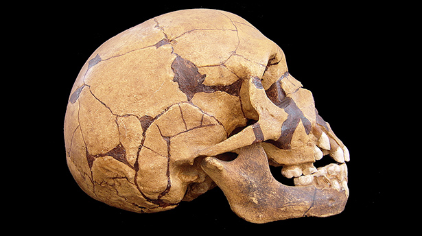 The Downside to Neanderthal DNA