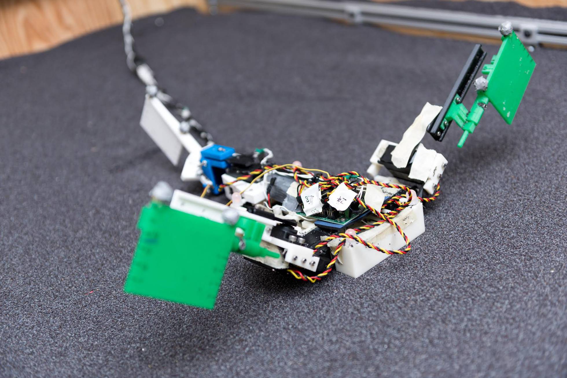 Un robot ayuda a entender cómo se movían por tierra los primeros vertebrados