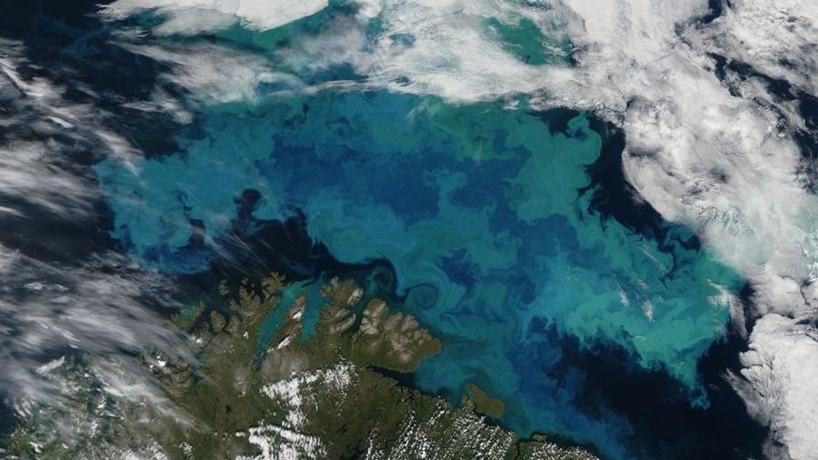 The damage wrought by acidic oceans hurts more than marine life and lasts longer than you think