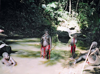 Los chimpancés prefieren cooperar a competir