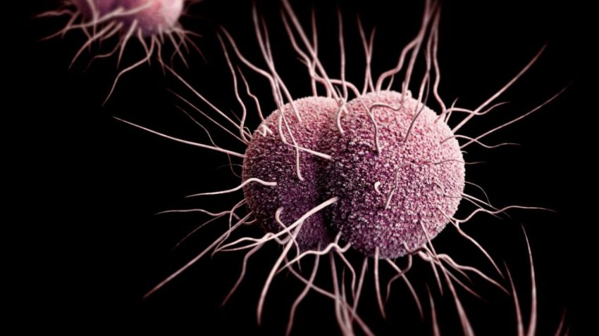 The world may soon run out of drugs to treat gonorrhea