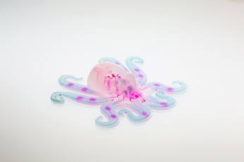 Beyond Terminator: squishy ‘octobot’ heralds new era of soft robotics