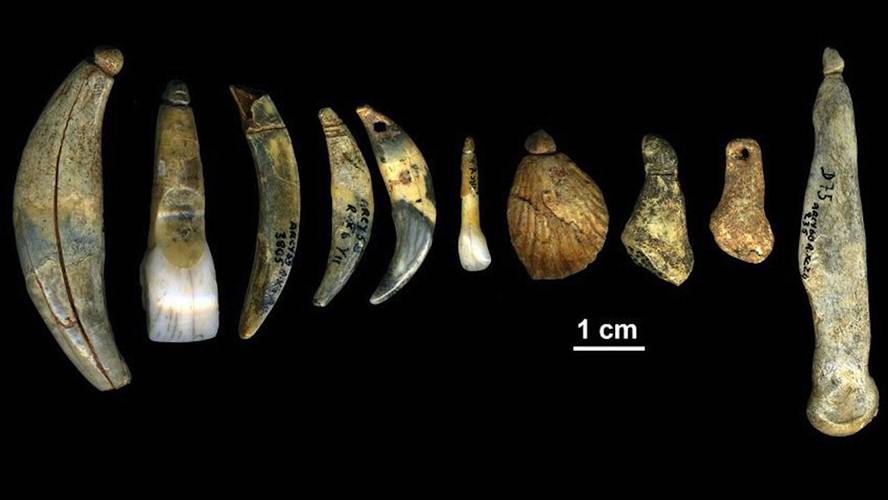 [:es]Paleoproteomikak erakutsi du neandertalek bitxiak egiten zituztela beren burua apaintzeko[:]