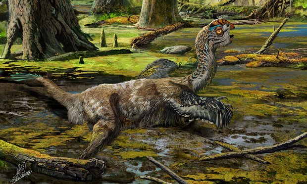 [:en]New species of ‘weird bird’-like dinosaur discovered in China[:]