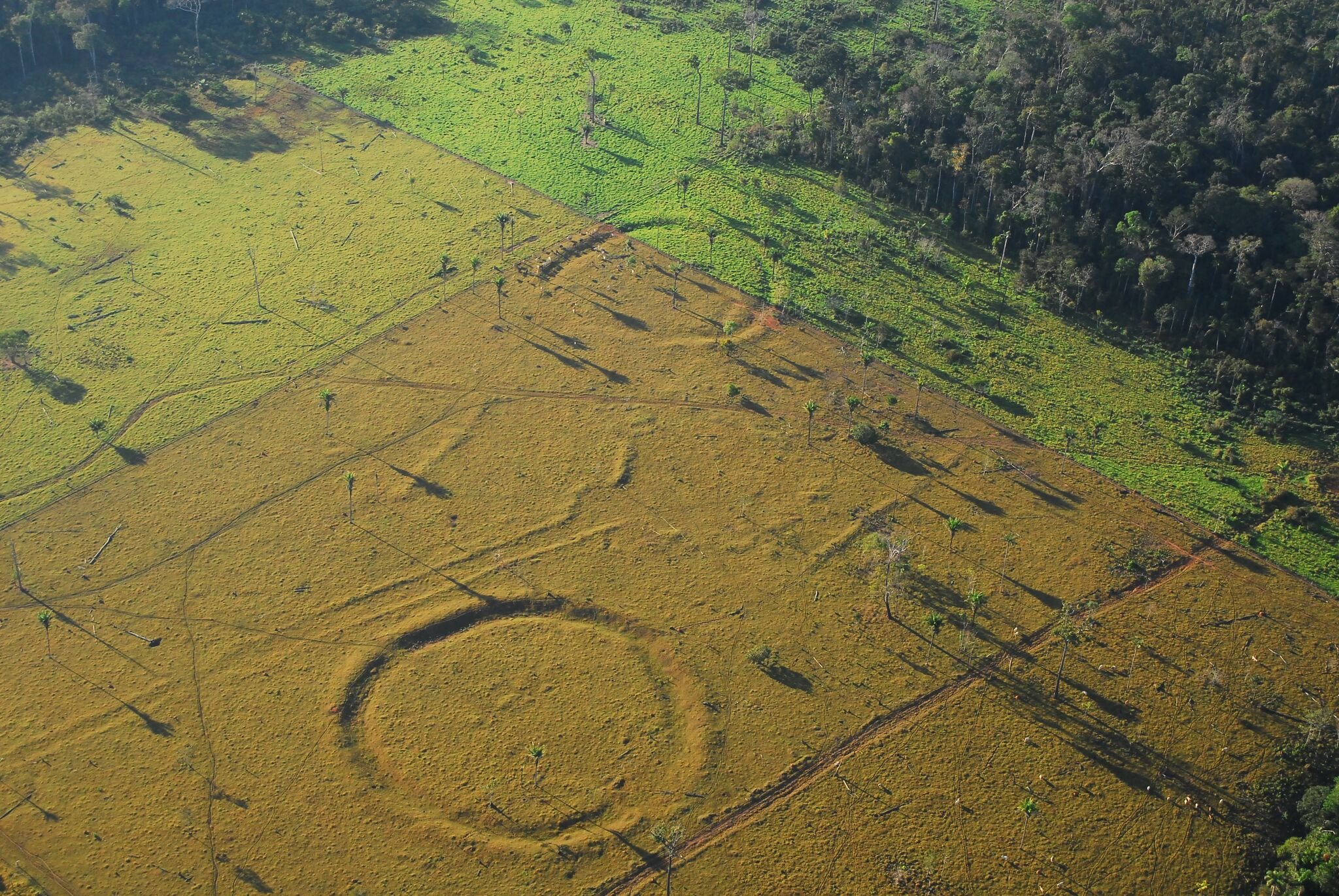 [:eu]Long Before Making Enigmatic Earthworks, People Reshaped Brazil’s Rain Forest[:]