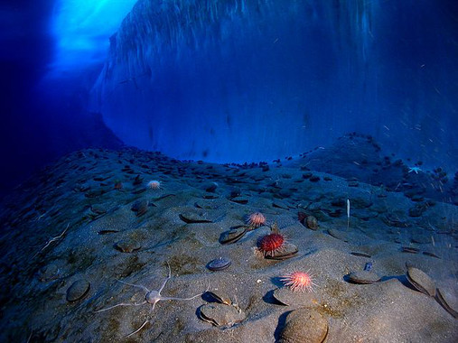 [:eu]La fusión del hielo glaciar y nieve, principal fuente de hierro en el Océano Antártico[:]