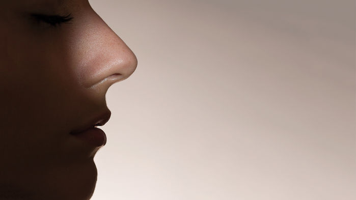 [:eu]Artificial intelligence grows a nose[:]