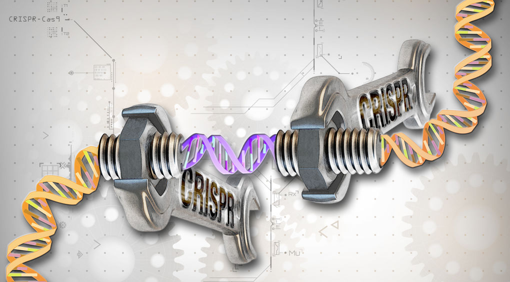 [:eu]La revolución genética CRISPR, amenazada por la guerra de patentes[:]