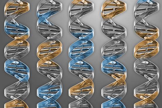 [:eu]Scientists Make Progress Toward Engineering Synthetic Yeast[:]