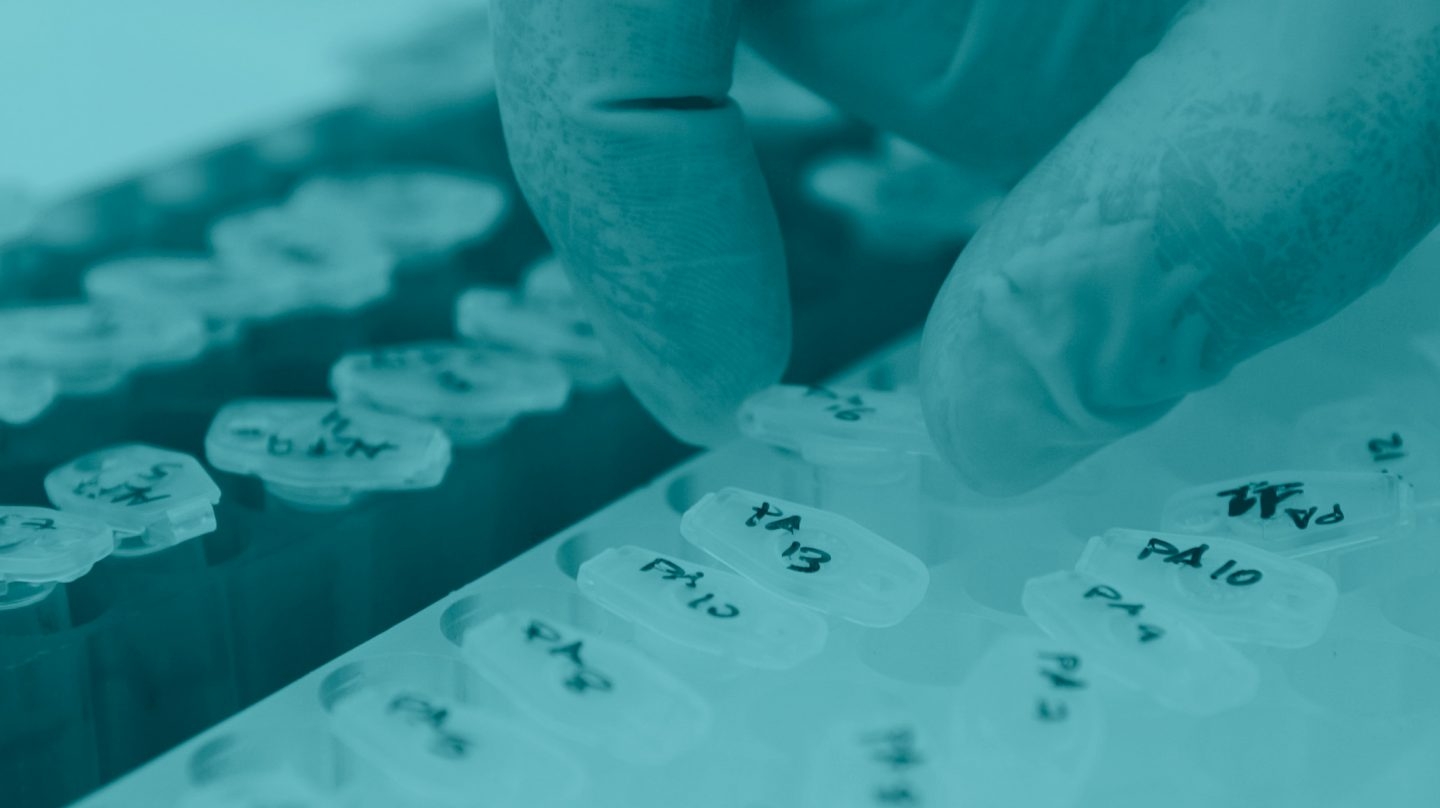 [:eu]Qué será de los científicos españoles con el Brexit[:]