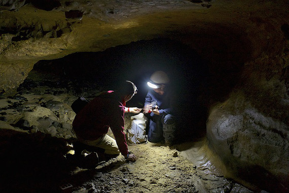 [:eu]Logran extraer ADN neandertal en una cueva sin restos óseos[:]